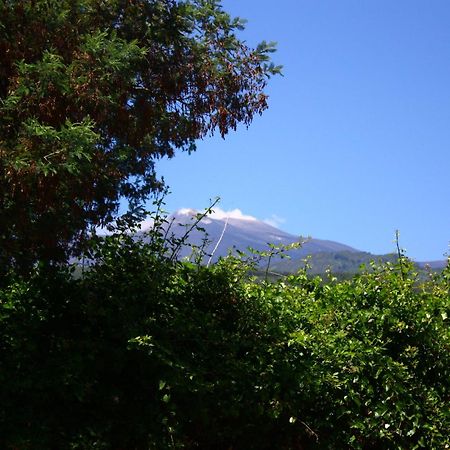 B&B Sotto I Pini Zafferana Etnea Exterior foto