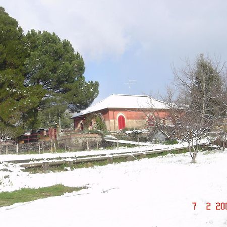 B&B Sotto I Pini Zafferana Etnea Exterior foto