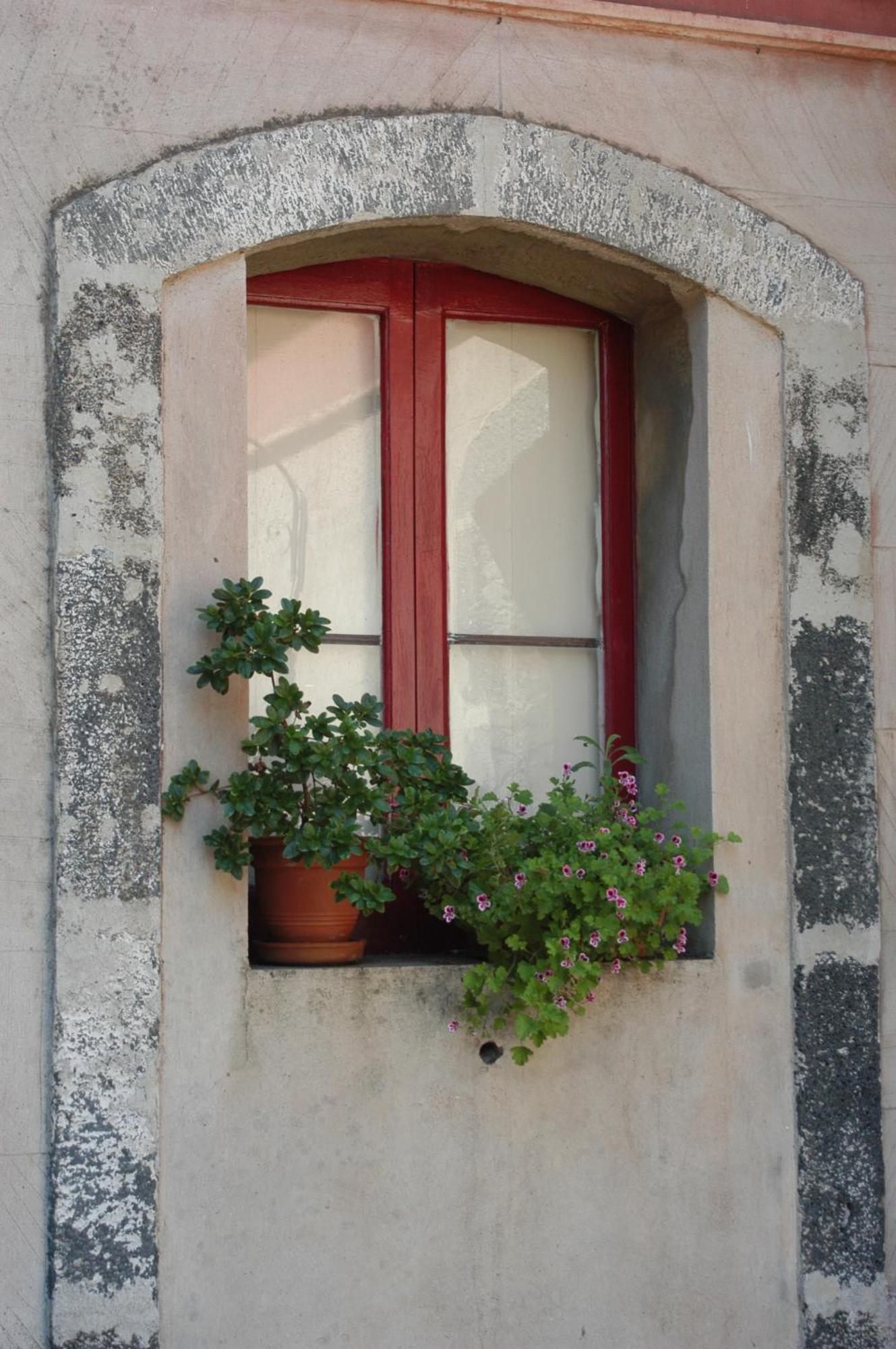 B&B Sotto I Pini Zafferana Etnea Exterior foto